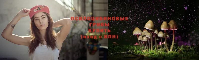 Псилоцибиновые грибы Magic Shrooms  цены   Бабаево 